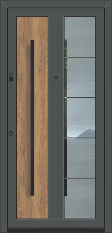 Inotherm Haustür ASS 1651